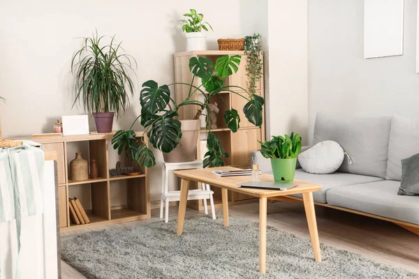 Oturma odasının içinde yeşil bitkiler, raf üniteleri ve kanepe var.