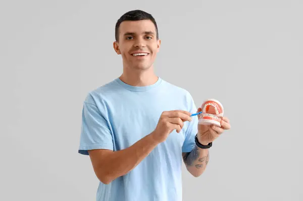 ハンサムな若者は 灰色の背景に歯ブラシと歯ブラシを持つ顎のモデルを保持しています デンタルケアコンセプト — ストック写真