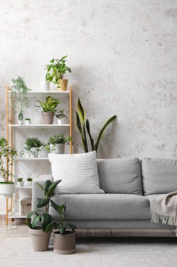 Oturma odasının içinde kanepe, raf ünitesi ve yeşil bitkiler var.