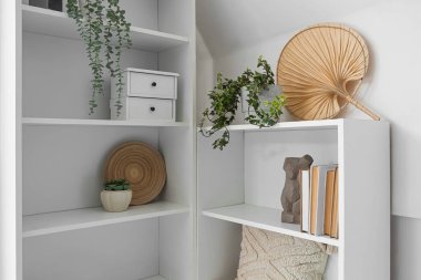 Ev bitkileri ve dekorlu raf ünitesi