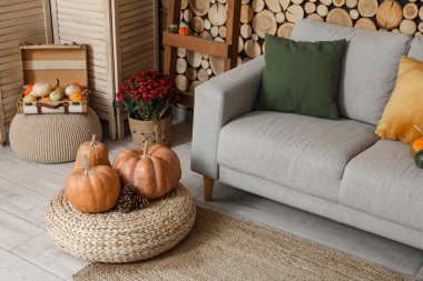 Gri kanepe, hasır puf ve balkabağı olan rahat bir oturma odası.