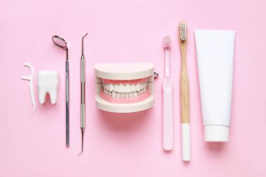 Çene modeli, diş aletleri ve pembe arka planda ağız temizliği malzemeleri. Dünya Diş Hekimi Günü