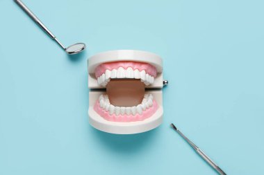 Mavi arka planda çene modeli ve diş aletleri. Dünya Diş Hekimi Günü