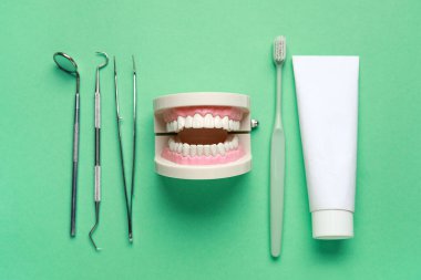 Çene modeli, diş aletleri, diş fırçası ve yeşil arka planda diş macunu. Dünya Diş Hekimi Günü