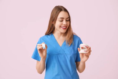 Çenesi ve pembe arka planda diş modelleri olan kadın bir dişçi. Dünya Diş Hekimi Günü