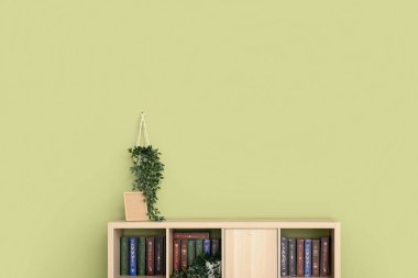 Odada yeşil duvarın yanında kitap ve bitkilerle televizyon standı