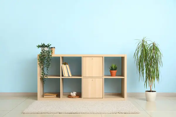 TV stand with books and plants near blue wall in room