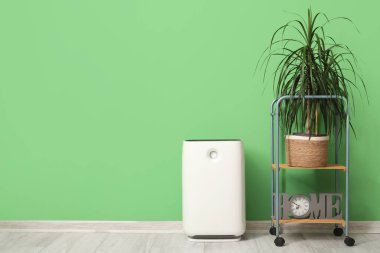 Oda yeşil duvarın yanında palmiye ağaçları olan hava temizleyici ve raf ünitesi.