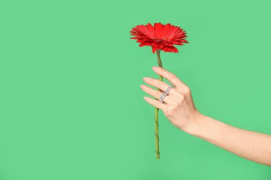 Yeşil arka planda kırmızı Gerbera çiçeği olan bir kadın.