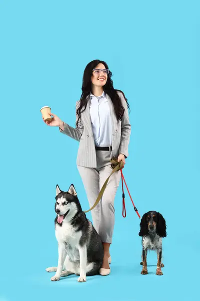 Young businesswoman with coffee and cute dogs walking on blue background