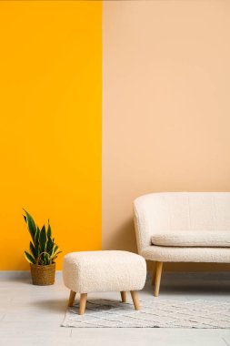 Renkli duvarın yanında rahat bir kanepe, tabure ve çiçek.