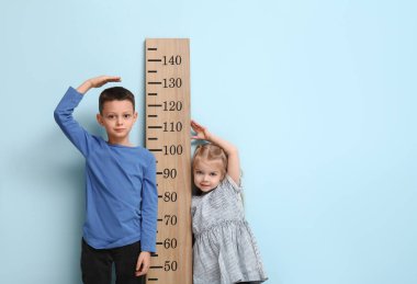 Mavi arka planda boy ölçümü yapan sevimli küçük çocuklar.