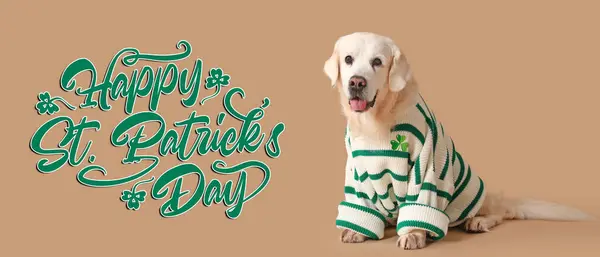 Leuke Hond Trui Tekst Happy Patrick Day Beige Achtergrond — Stockfoto