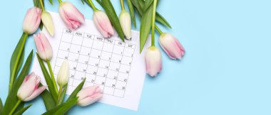 Takvim ve laleler açık mavi arkaplandalar ve metin için boşluk var. Uluslararası Kadınlar Günü