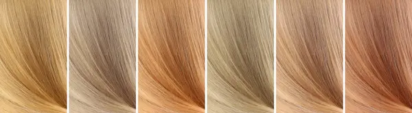 Samples of different blonde hair colors