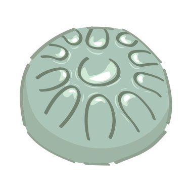 Beyaz arkaplanda tank davulu