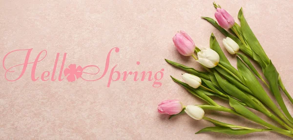 芬芳美丽的郁金香和文字你好 春天在粉红的背景 — 图库照片