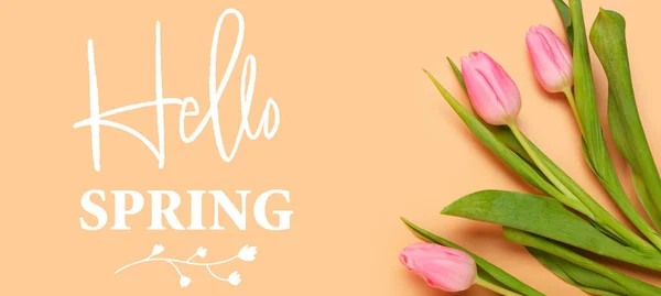 Аромат Красивых Тюльпанов Текст Hello Spring Бежевом Фоне — стоковое фото