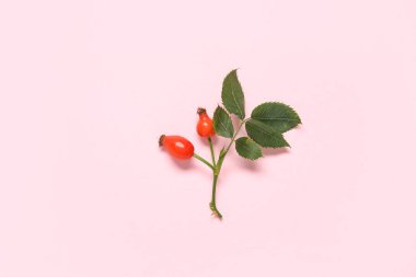 Taze gül böğürtlen ve pembe arka planda yapraklar