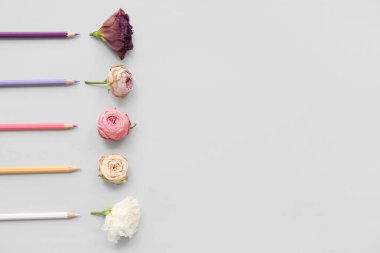 Renkli kalemlerle kompozisyon ve hafif arkaplanda farklı çiçekler