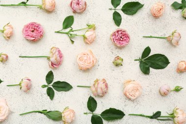 Güzel pembe güller ve beyaz arka planda yapraklar