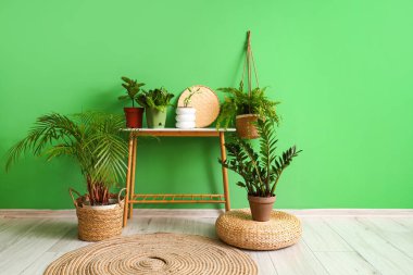 Saksılar yeşil duvarın yanındaki masada.