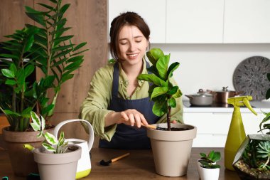 Female gardener taking care of plant in kitchen