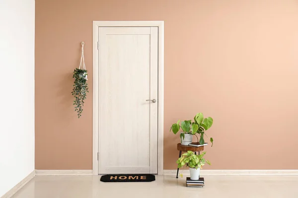 Interior of hall with door, mat and plants