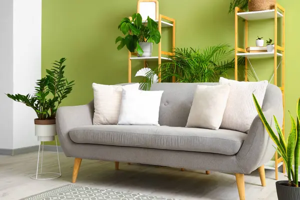 Interior of living room with green plants, sofa and shelf units