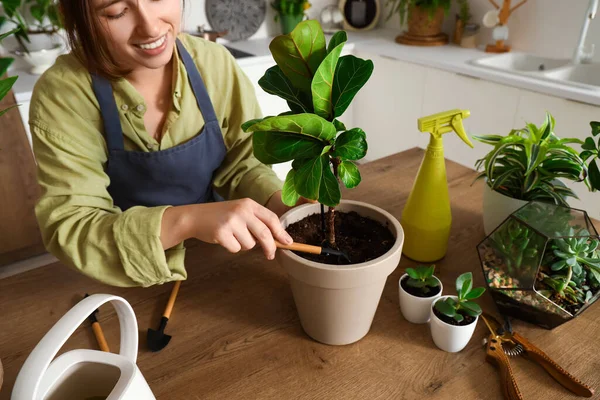 Kadın bahçıvan mutfaktaki bitkilerle ilgileniyor, yakın plan.