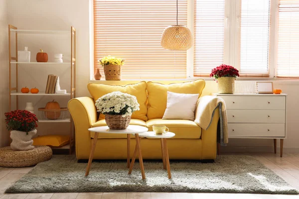 Interior of stylish living room with yellow sofa and chrysanthemum flowers on coffee table