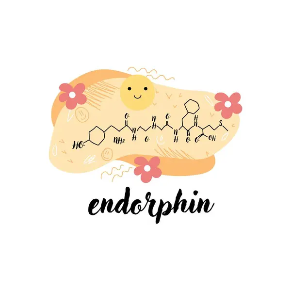 Structural Chemical Formula Endorphin Hormone White Background — Stock Vector