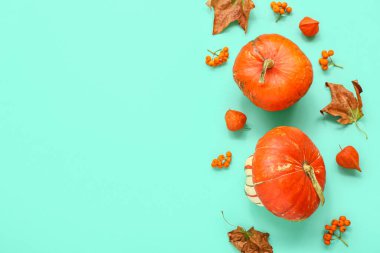 Balkabakları, viburnum ve turkuaz arka planda yapraklarla sonbahar kompozisyonu