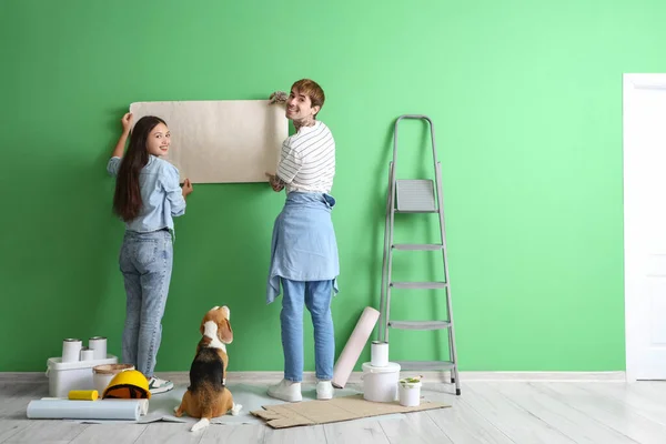 Young couple with Beagle dog wallpapering during repair in their new house, back view