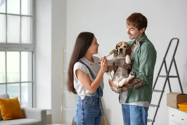 Young couple with Beagle dog during repair in their new house