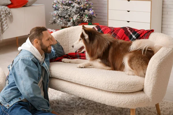 Evde sevimli köpekli yakışıklı bir genç adam.