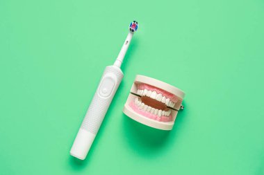 Yeşil arka planda elektrikli diş fırçası ve çene modeli. Dünya Diş Hekimi Günü