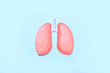 Mavi arka planda kağıt ciğerler