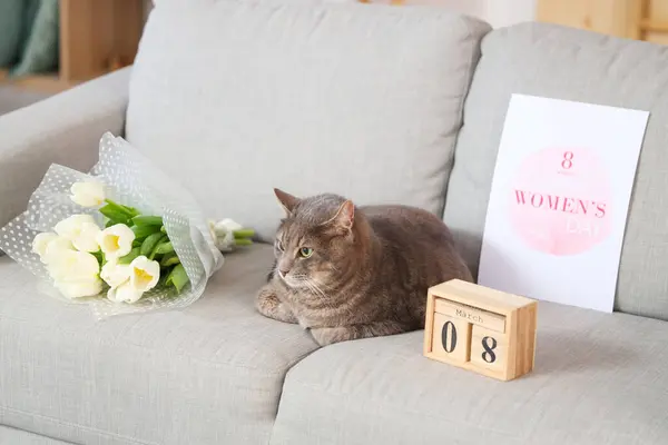 Cute Cat Greeting Card Calendar Flowers Sofa Home International Women — Stock Photo, Image