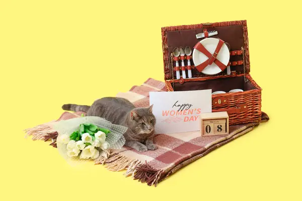 可爱的猫 日历和黄色背景的野餐篮 国际妇女日 — 图库照片