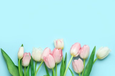 Mavi arka planda bir buket güzel lale. Uluslararası Kadınlar Günü