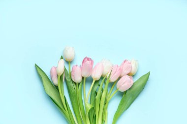 Mavi arka planda bir buket güzel lale. Uluslararası Kadınlar Günü