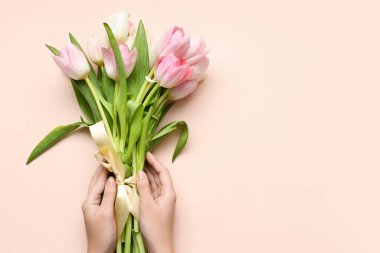 Pembe arka planda bir buket güzel lalesi olan kadın elleri. Uluslararası Kadınlar Günü