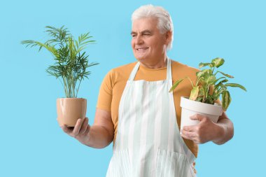 Mavi arka planda bitkileri olan olgun bir bahçıvan.