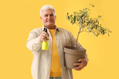 Sprey su şişesi ve sarı arka planda bitki yetiştiren olgun bir adam.