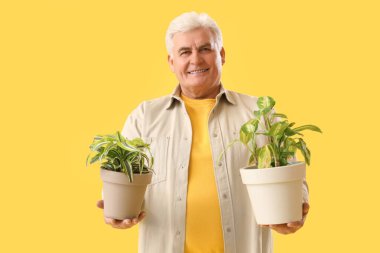 Sarı arka planda bitkileri olan olgun bir adam.