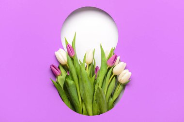 Beyaz zemin üzerinde güzel laleler olan mor kağıt sekizinci figür şeklinde kes