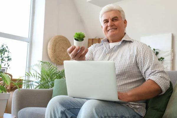 Mature man with succulent plant and laptop sitting on sofa at home