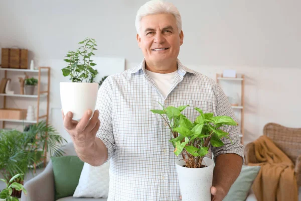 Mature man with plants at home