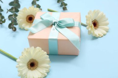 Güzel Gerbera çiçekleriyle hediye kutusu ve mavi arka planda okaliptüs. Uluslararası Kadınlar Günü